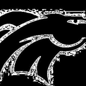 Meet your Posher, Jake